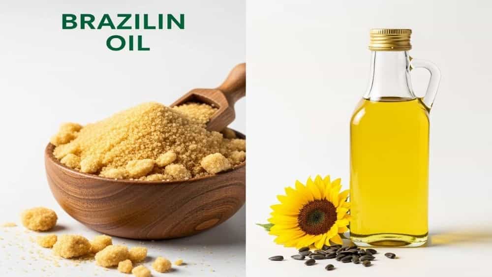 خرید عمده شکر برزیلی و روغن آفتابگردان در یزد